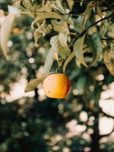 Głód fizjologiczny objawiający się pustką w żołądku, spadkiem energii i potrzebą jedzenia