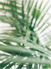 Jedzenie emocjonalne jako nawyk prowadzący do przejadania się i poczucia winy