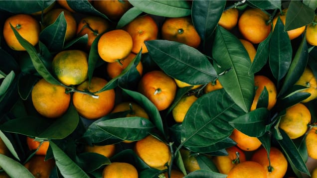 Kortyzolowy brzuch jako efekt przewlekłego stresu, podwyższonego kortyzolu i zwiększonego apetytu